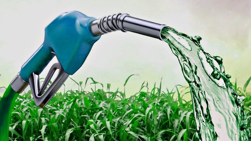 Ubrabio promove webinars sobre biocombustíveis para celebrar a Semana Mundial do Meio Ambiente