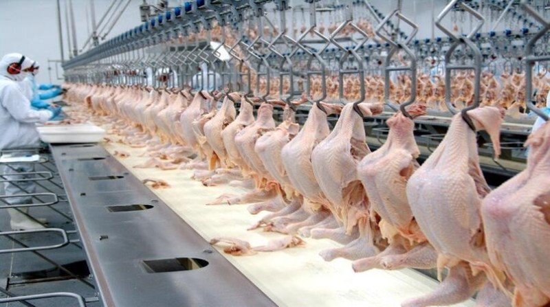 Faturamento com exportação de carne de frango em julho/21 supera em mais de 51% julho/20
