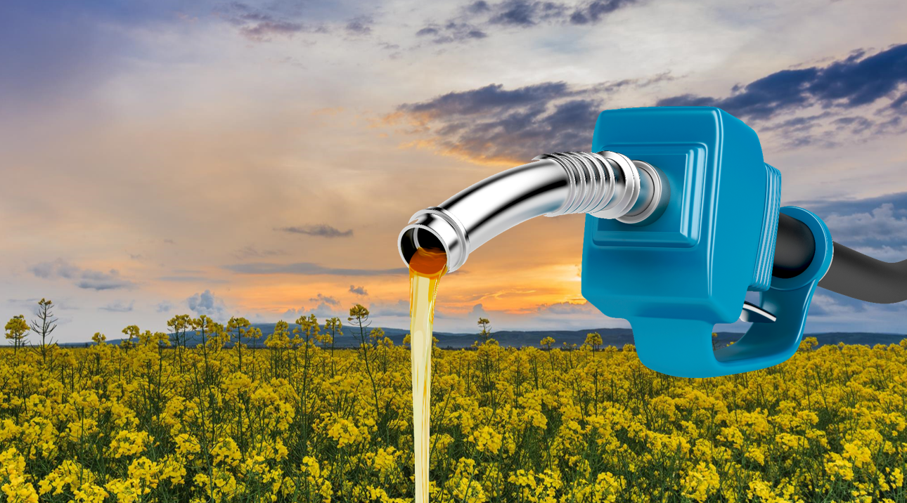 CNPE aprova aumento para 12% da mistura de biodiesel ao diesel a partir de abril