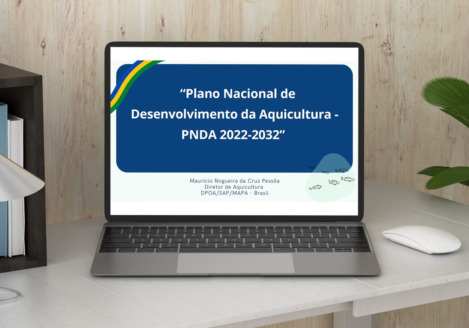 Câmara Setorial da Produção e Indústria de Pescados  debate o Plano Nacional de Desenvolvimento da Aquicultura