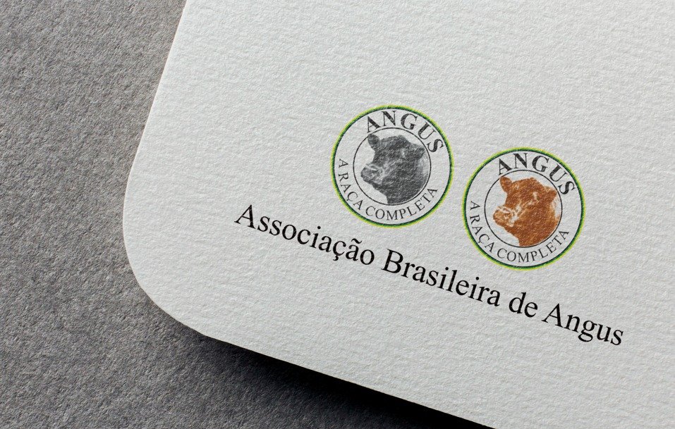 Associação Brasileira de Angus celebra 60 anos
