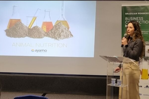 20240807_151301 20240807_151301