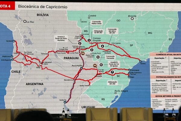 IMG_7433 (1) IMG_7433 (1)