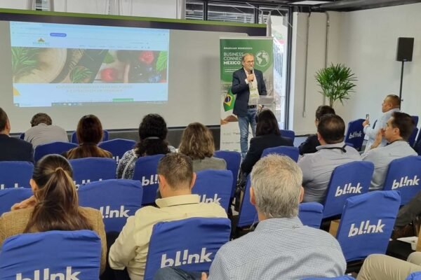 bc mexico (2) bc mexico (2)