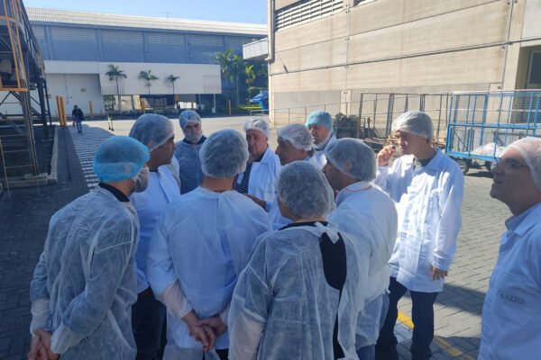 bc mexico razzo (1) bc mexico razzo (1)