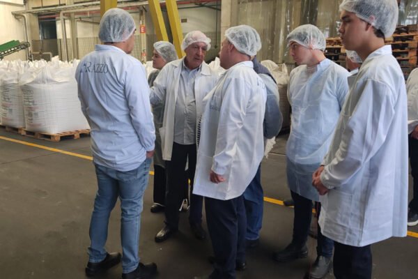 bc mexico razzo (2) bc mexico razzo (2)