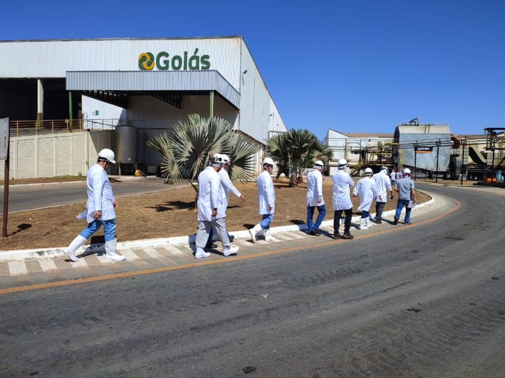 Imagem do WhatsApp de 2024-10-16 à(s) 20.16.32_98233843