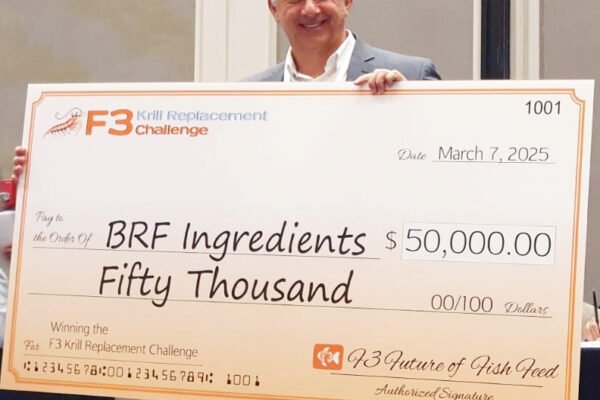 IMG-20250307-WA0004~2 IMG-20250307-WA0004~2