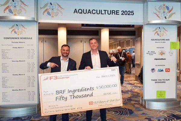 IMG-20250307-WA0024 IMG-20250307-WA0024