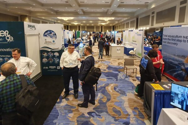 IMG-20250307-WA0032 IMG-20250307-WA0032