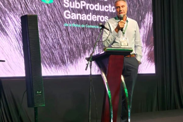 Imagem do WhatsApp de 2025-03-08 à(s) 00.31.40_d70243e4 Imagem do WhatsApp de 2025-03-08 à(s) 00.31.40_d70243e4