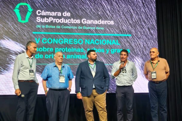 Imagem do WhatsApp de 2025-03-08 à(s) 00.31.41_92d13acf Imagem do WhatsApp de 2025-03-08 à(s) 00.31.41_92d13acf