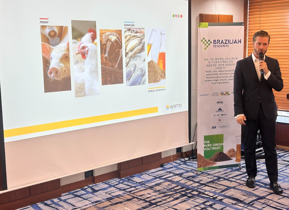 Captura de tela 2025-10-03 161147