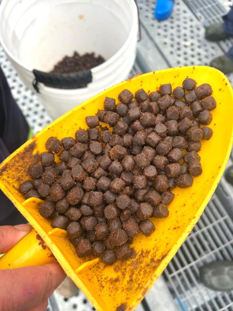 WhatsApp Image 2026-03-31 at 17.40.10