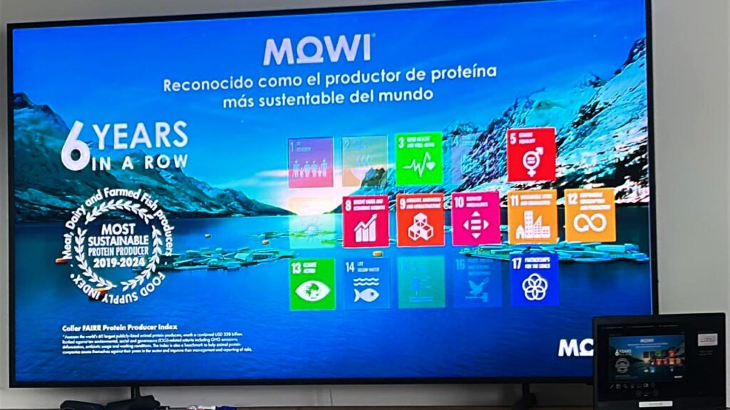 WhatsApp Image 2026-03-31 at 17.41.05