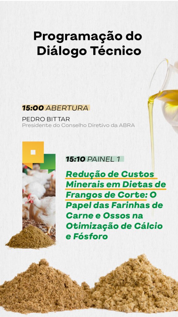 Programação_Stories 2