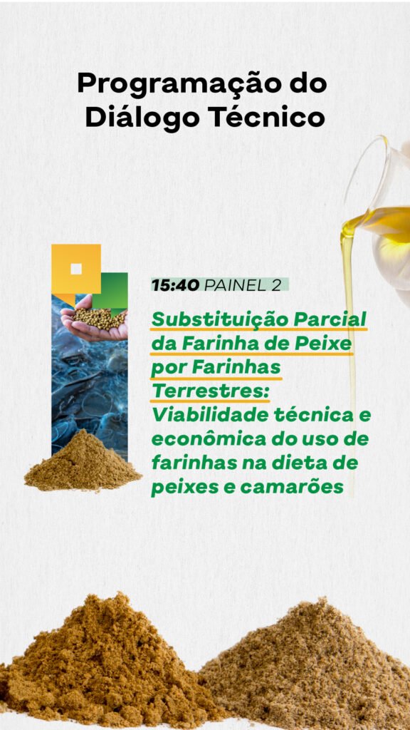 Programação_Stories 3