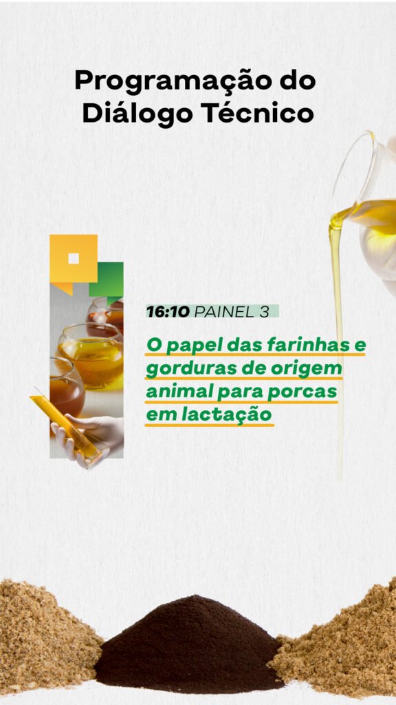 Programação_Stories 4