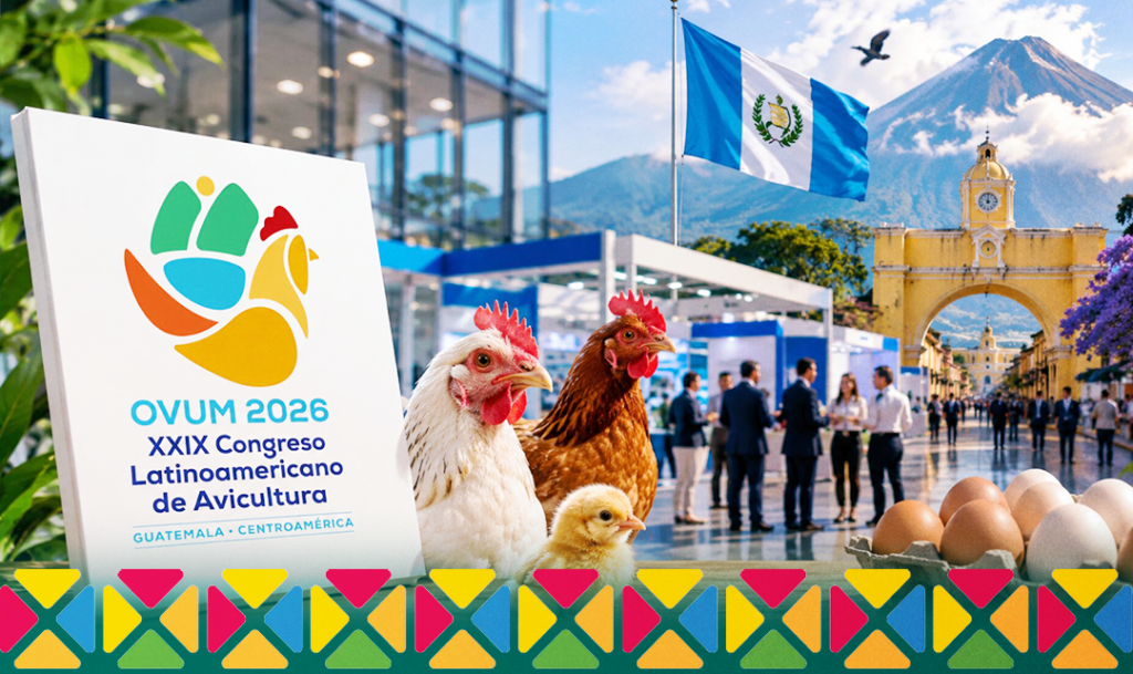 Brazilian Renderers confirma presença no OVUM 2026, na Guatemala